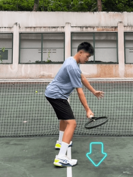 Professional tennis coaching for players